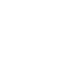 Icon Größe