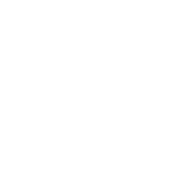 Icon Leistung
