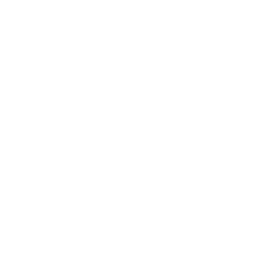Icon Motor