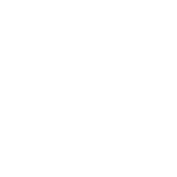 Icon Antrieb
