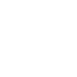 Icon Getriebe