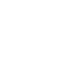 Icon Beschleunigung